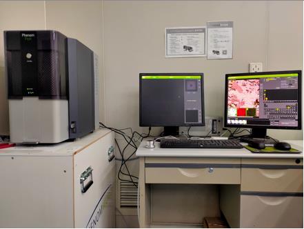 SEM 扫描电子显微镜