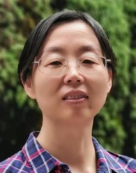 胡凤霞